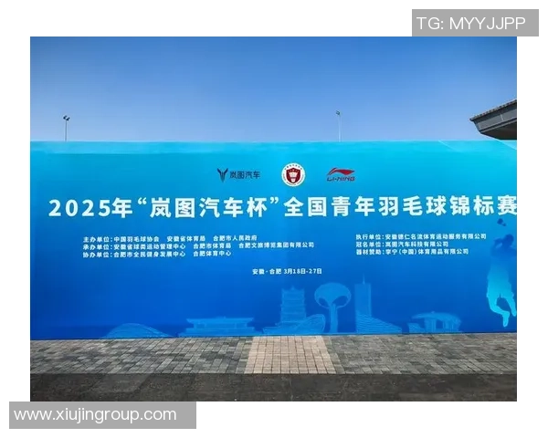 深圳羽毛球队的崛起与力量探讨：聚焦羽毛球运动的未来发展与挑战