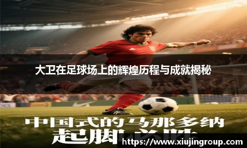 大卫在足球场上的辉煌历程与成就揭秘